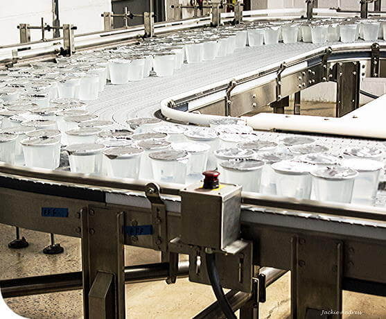 Ingeniería en envasado