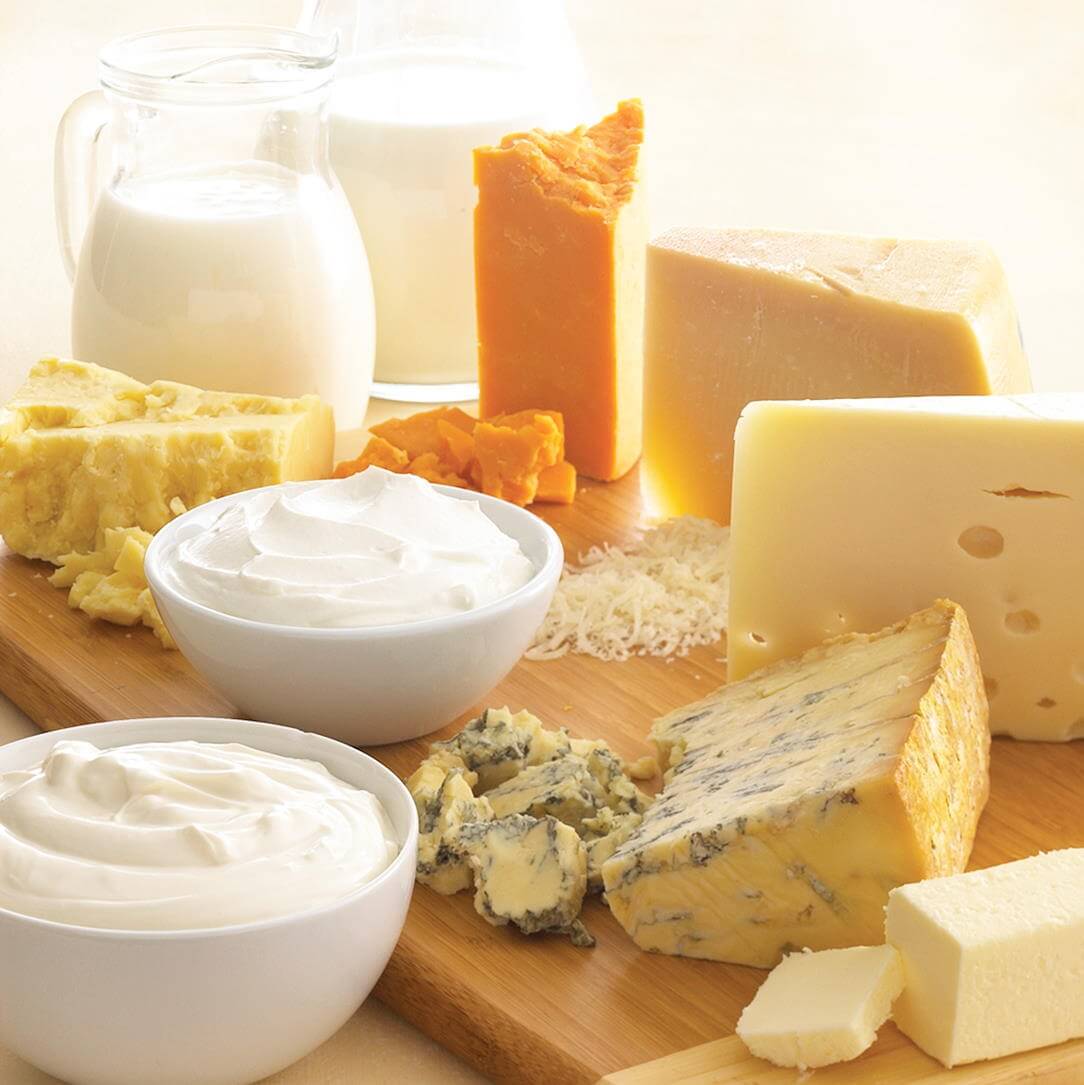 True Dairy<sup style="font-size:32px;">®</sup> Specialty Ingredients